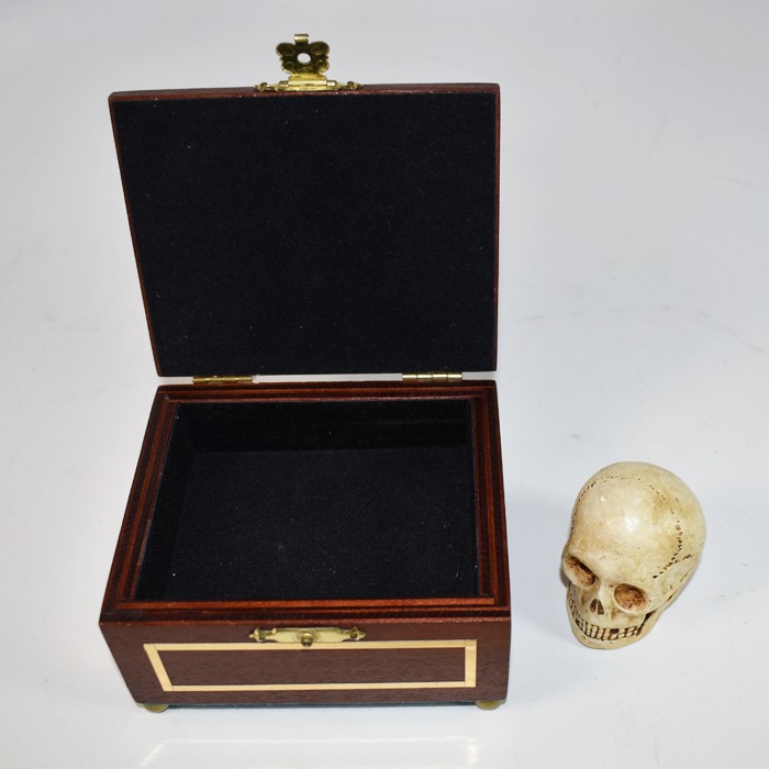 Talking Miniature Skull - Image 2