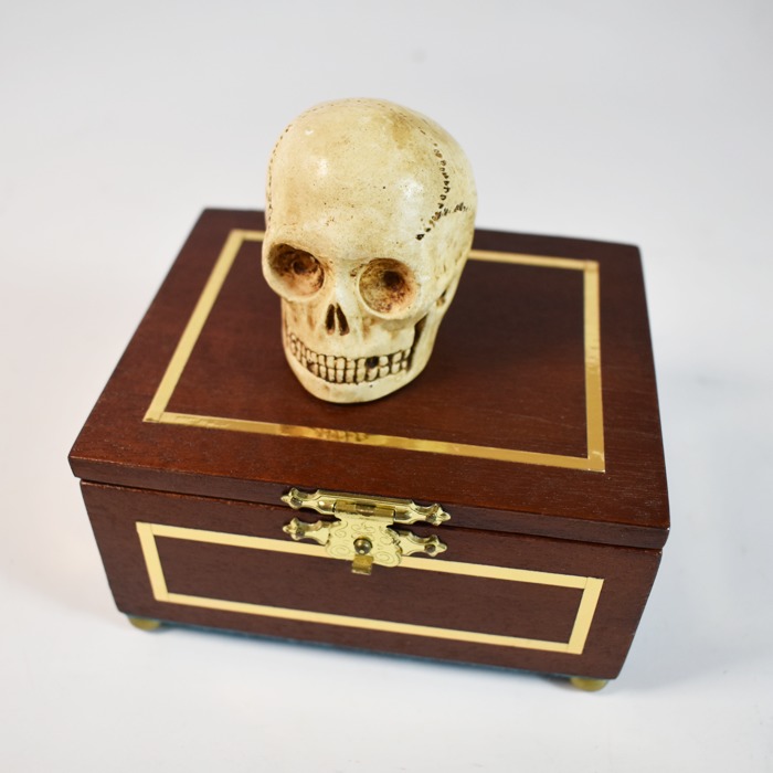 Talking Miniature Skull - Image 3