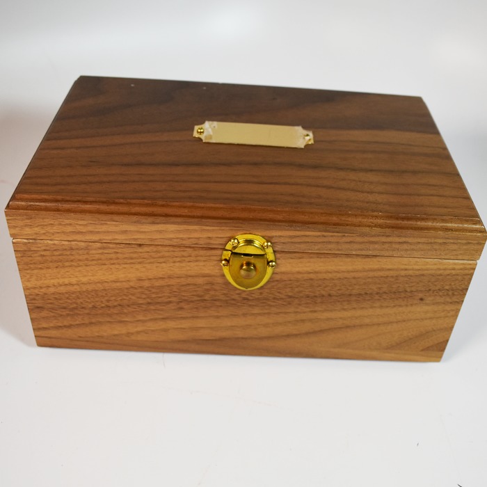 The Chameleon Chest from Viking Magic: new - Image 3