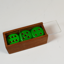 The Dice (green): Magic Workshop Germany