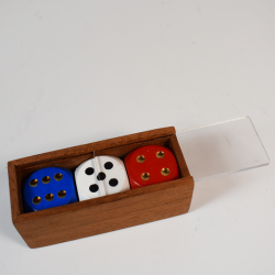 The Dice (RWB): Magic Workshop Germany