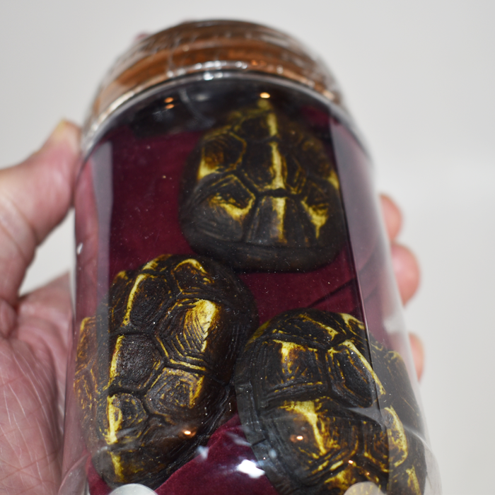 Black Fox Magic Tortoise Shell 4 shell Game: new in the container ...